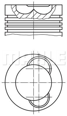 WILMINK GROUP Männät WG1213956